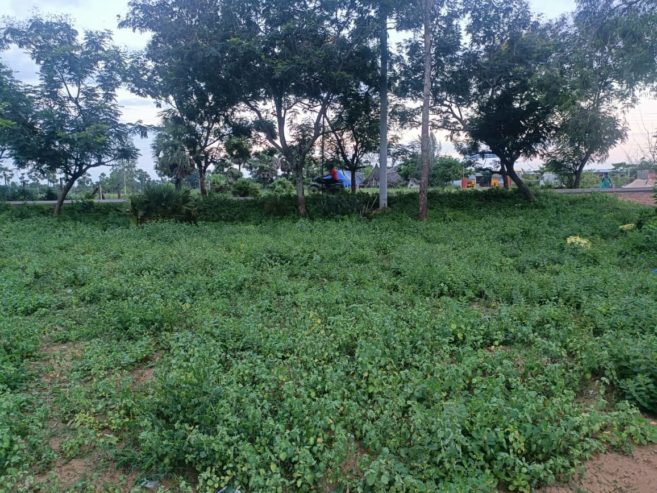 1 Acre 30 Sentlu  in thondagi mandal