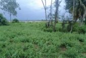 1 Acre 30 Sentlu  in thondagi mandal