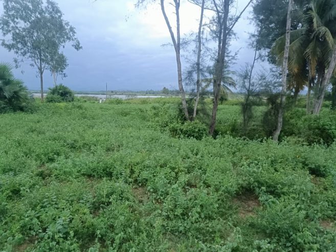 1 Acre 30 Sentlu  in thondagi mandal