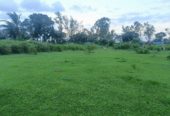 1 Acre 30 Sentlu  in thondagi mandal