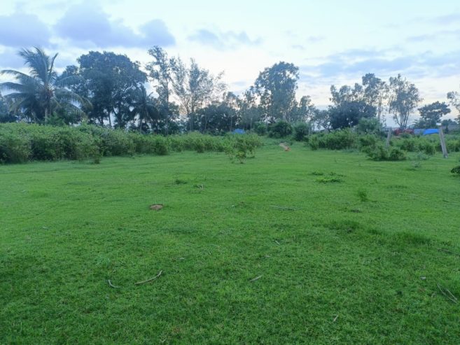 1 Acre 30 Sentlu  in thondagi mandal