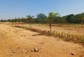 Yadadri Dist- Land- 47Acres