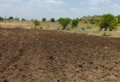 1000Acres Farmland 7L/per Acre in Madki