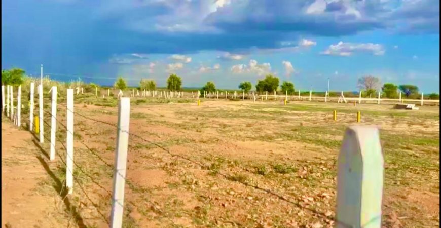 Farmland for Farmhouse at Kodangal