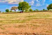 Farmland for Farmhouse at Kodangal