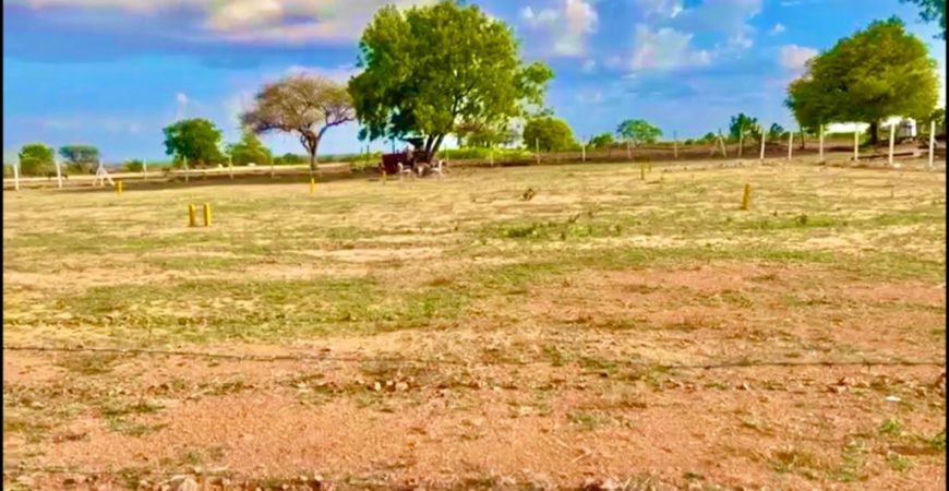 Farmland for Farmhouse at Kodangal