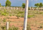 Farmland for Farmhouse at Kodangal