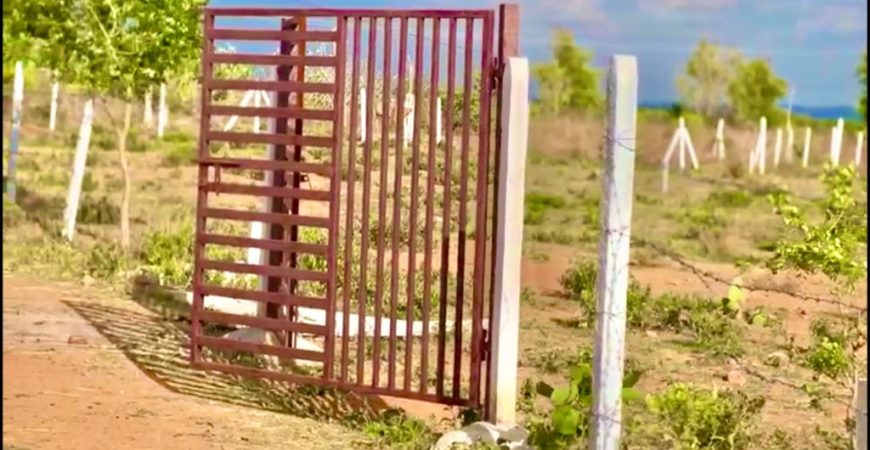 Farmland for Farmhouse at Kodangal