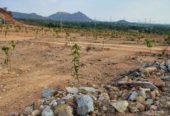 Natural Hills Farmland at Dandumailaram Industrial Park