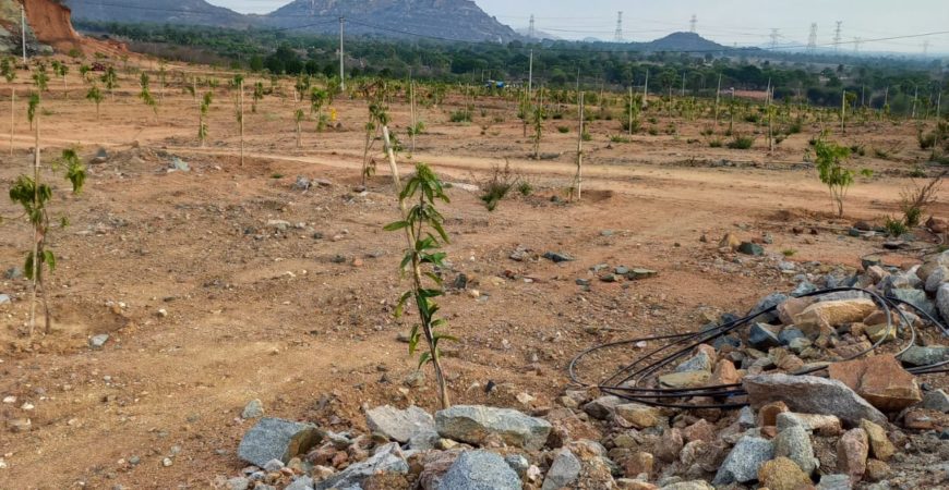 Natural Hills Farmland at Dandumailaram Industrial Park