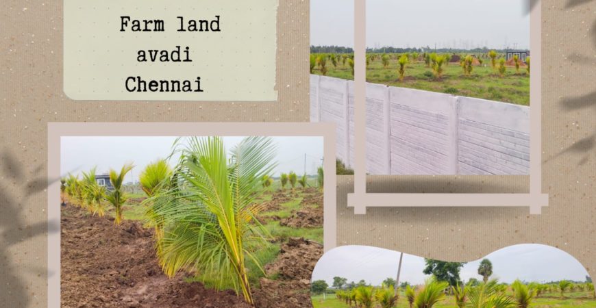 FARMLAND Near Avadi Station