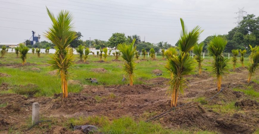 FARMLAND Near Avadi Station