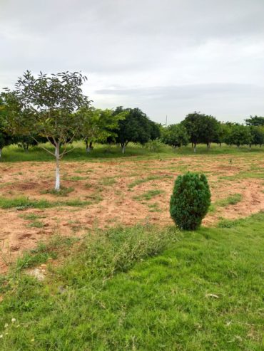 Farm Land Venture on SRISAILAM HIGHWAY