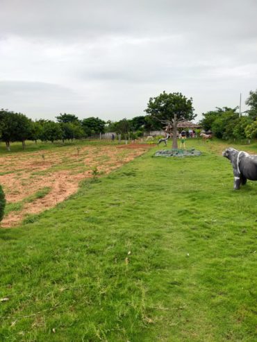 Farm Land Venture on SRISAILAM HIGHWAY