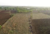 1 Acre farm land in Sangareddy