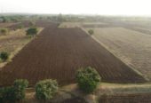 1 Acre farm land in Sangareddy