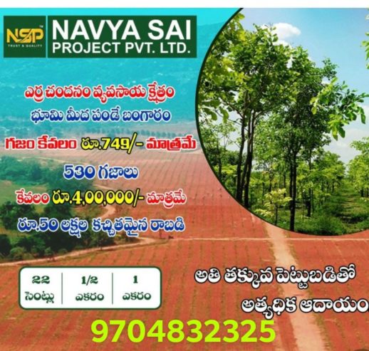 108 Acre Red Sandal Venture in Kavali