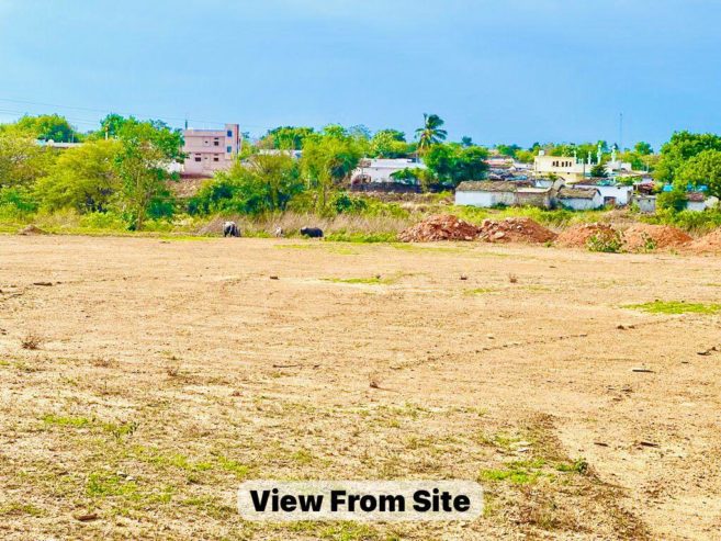 Farm Plot for Sale – Prime Golden Opportunity in Kodangal” Vikharabad