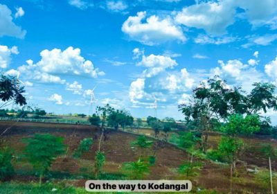 Farm Plot for Sale – Prime Golden Opportunity in Kodangal” Vikharabad
