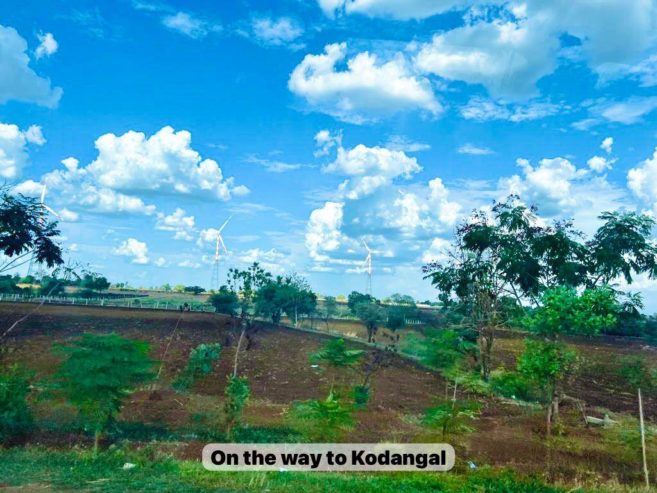 Farm Plot for Sale – Prime Golden Opportunity in Kodangal” Vikharabad