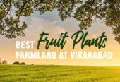 FARMLAND PLOTS AT VIKARABAD