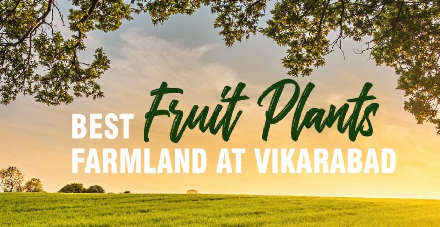 FARMLAND PLOTS AT VIKARABAD