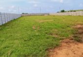 16 Gunta Farmland at Kondapochamma Resorvior Markook