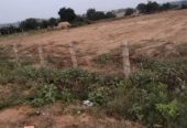 8 Acers Agricultural land for outrate in Mothighanpur