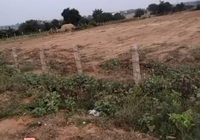 8 Acers Agricultural land for outrate in Mothighanpur