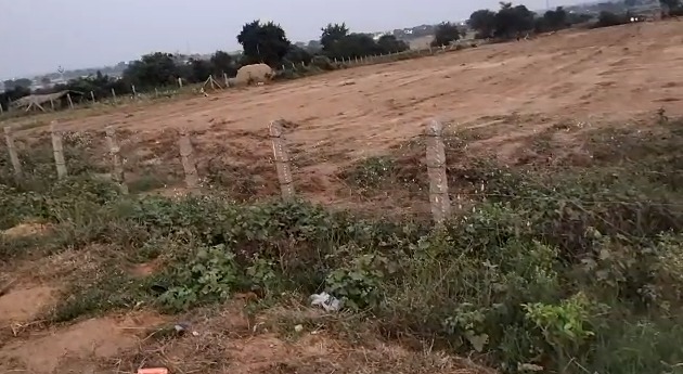 8 Acers Agricultural land for outrate in Mothighanpur