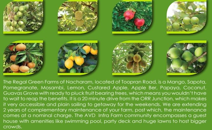 GREEN FARMS MEDCHEL TOOPRAN- Earn 10,000/- Monthly