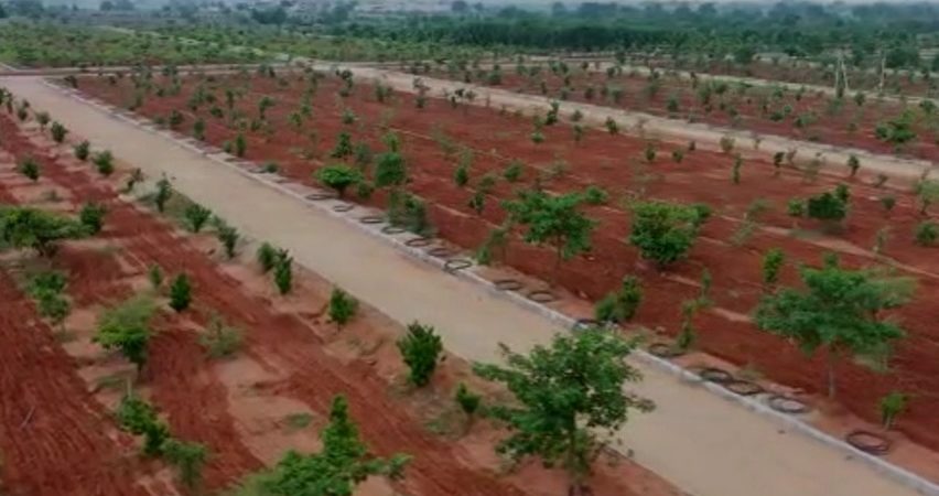 Farmland Project Vanadhara at JP Dargah