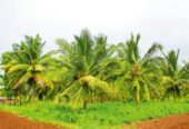 FARMLAND PLOTS AT VIKARABAD