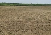 7 Acres Canal Attached Agriculture land for sale near Hiriyur