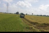 5 acres agriculture land