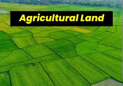 1 Acre To 10 acre Agriculture land in Gurgaon