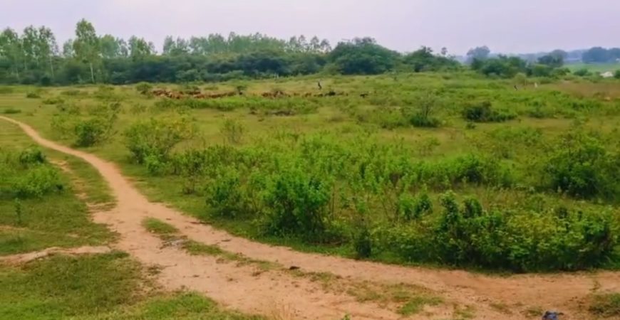 13 ACERS OPEN LAND AT KONDAPOCHAMMA RESORVIOR SIDDIPET