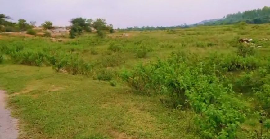 13 ACERS OPEN LAND AT KONDAPOCHAMMA RESORVIOR SIDDIPET