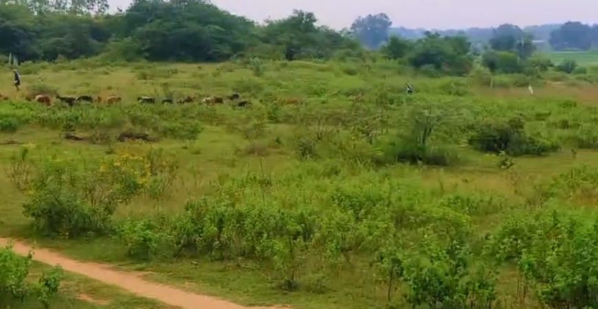 13 ACERS OPEN LAND AT KONDAPOCHAMMA RESORVIOR SIDDIPET