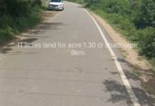 11 acres mango tree farm land in Shadnagar