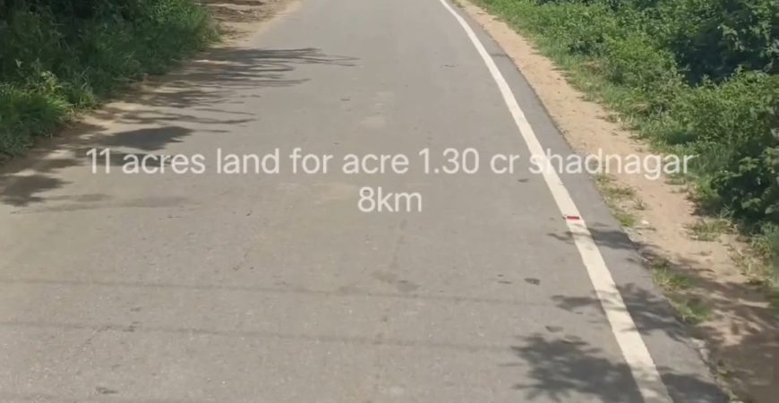 11 acres mango tree farm land in Shadnagar