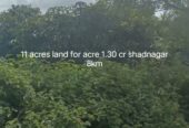 11 acres mango tree farm land in Shadnagar