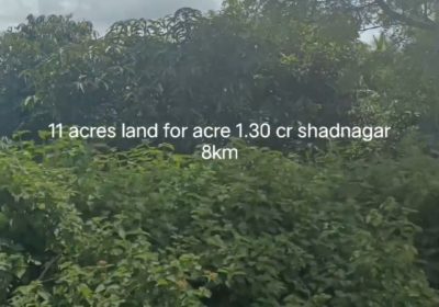 11 acres mango tree farm land in Shadnagar