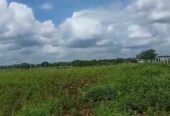 15 Acre Farmland in chincholi