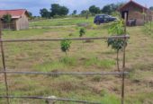 URGENT 47 Acres Farmland in Maripadiga Village