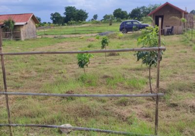 URGENT 47 Acres Farmland in Maripadiga Village