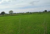 URGENT 47 Acres Farmland in Maripadiga Village