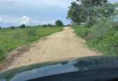 URGENT 47 Acres Farmland in Maripadiga Village