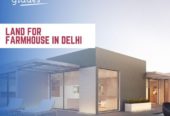 One acre Farmhouse Land/Plots in Delhi