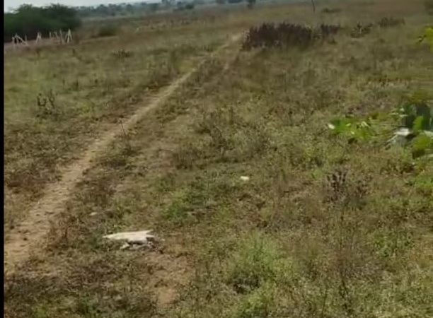 11 Guntas agricultural land in Veltur Village